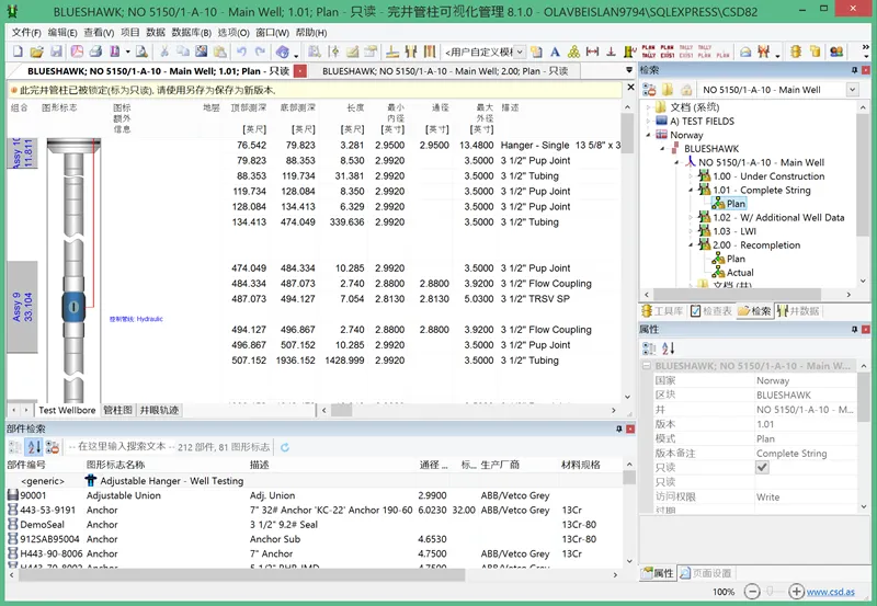 csdchinese1